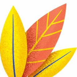 快看看你是否在用 这6批次纸制品类产品不合格